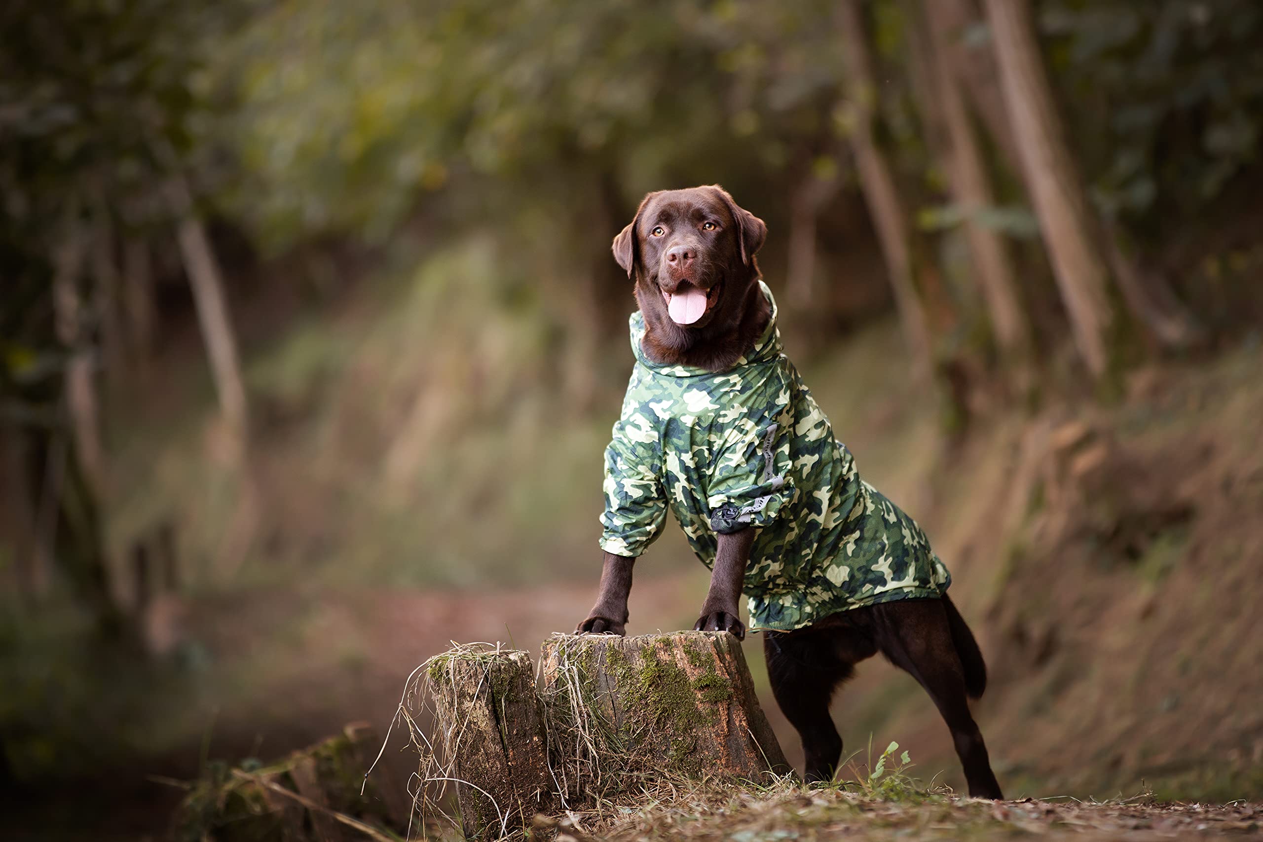 Crosses Randonnée Imperméable pour Chien Portable Go Camouflage Taille 55cm 381g