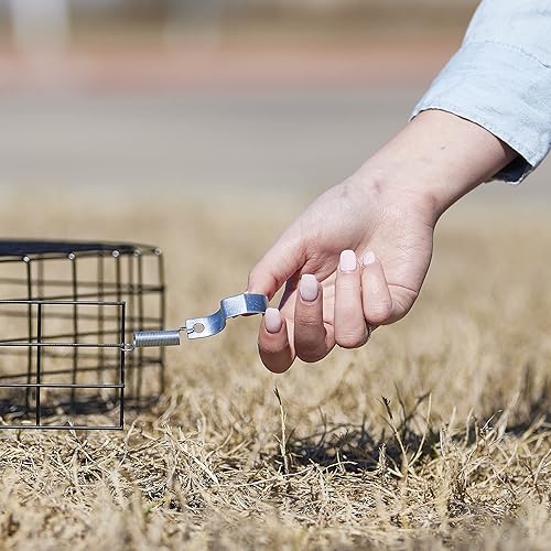 Miniatura 53 de Rugged Ranch Productos sqrto squirrelinator trampa sin cuenca