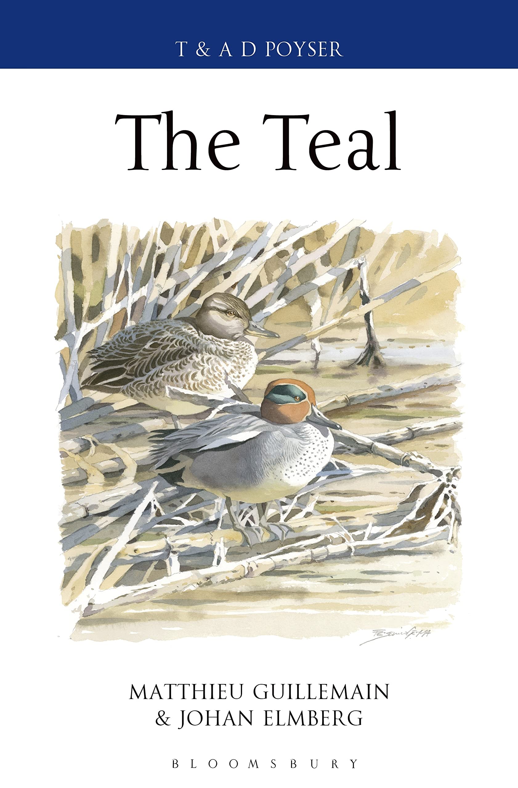 Buy The Teal (Poyser Monographs) — BookShops.in