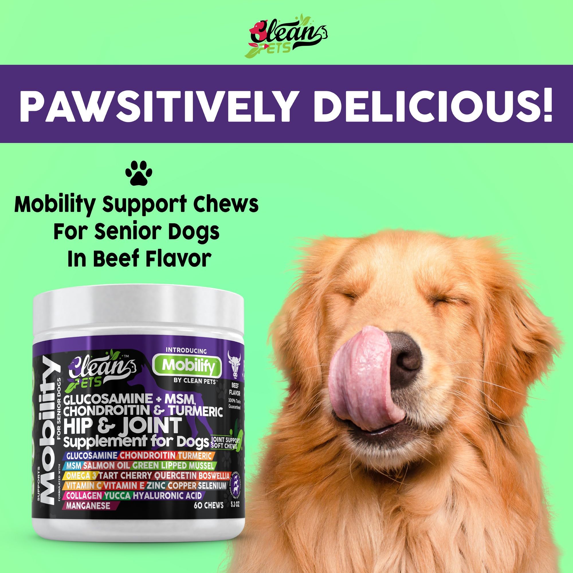 Hip and Joint Supplement Dogs with Glucosamine for Dogs + Chondroitin, Turmeric, Hyaluronic Acid, MSM, Salmon Oil, Collagen, Vitamin C, Omega 3 Senior Dog Supplements Beef Flavor - 1Pack - image 6