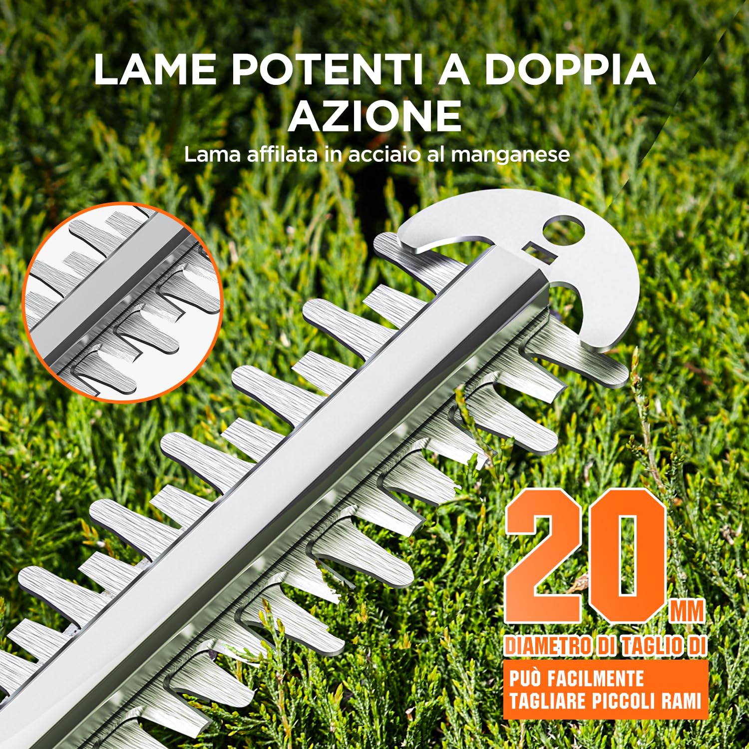 Litheli Tagliasiepi a Batteria 20V, Lunghezza Lama 56cm, 20mm Distanza tra i Denti, Con Batteria da 10000mAH, Tagliasiepi Elettrico