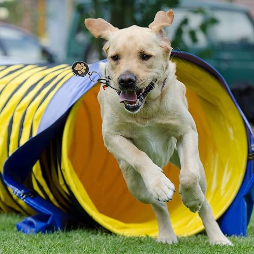 Miniatura 6 de Etiquetas de perro QR personalizadas para mascotas, etiquetas de identificación personalizadas para mascotas, etiquetas de nombre de perro,