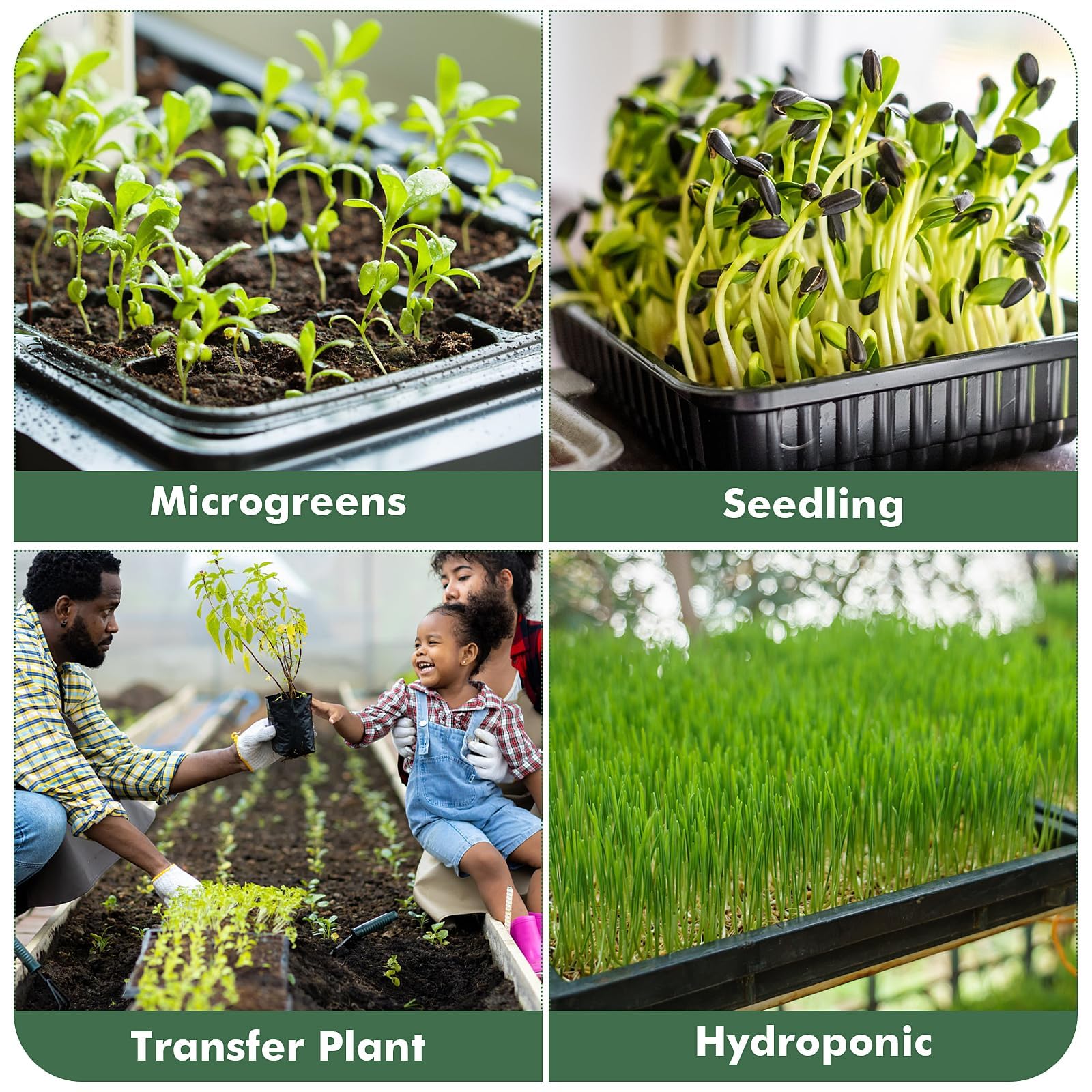 1017 Pflanzen-Anzuchtschalen, Anzuchtschalen, Microgreens, Anzuchtschalen, Sämling, Pflanzenkeimung, Starter-Tablett, Umpflanzung, keine Löcher, kein Auslaufen, wiederverwendbar, 25,4 x 42,9 x 6,3 cm