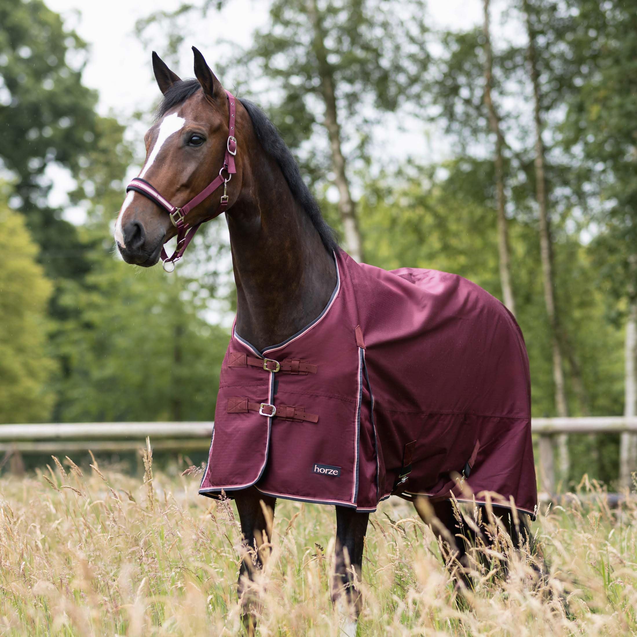 HORZE Glasgow - Coperta leggera impermeabile per cavallo (senza imbottitura), bordeaux, 190,5 cm