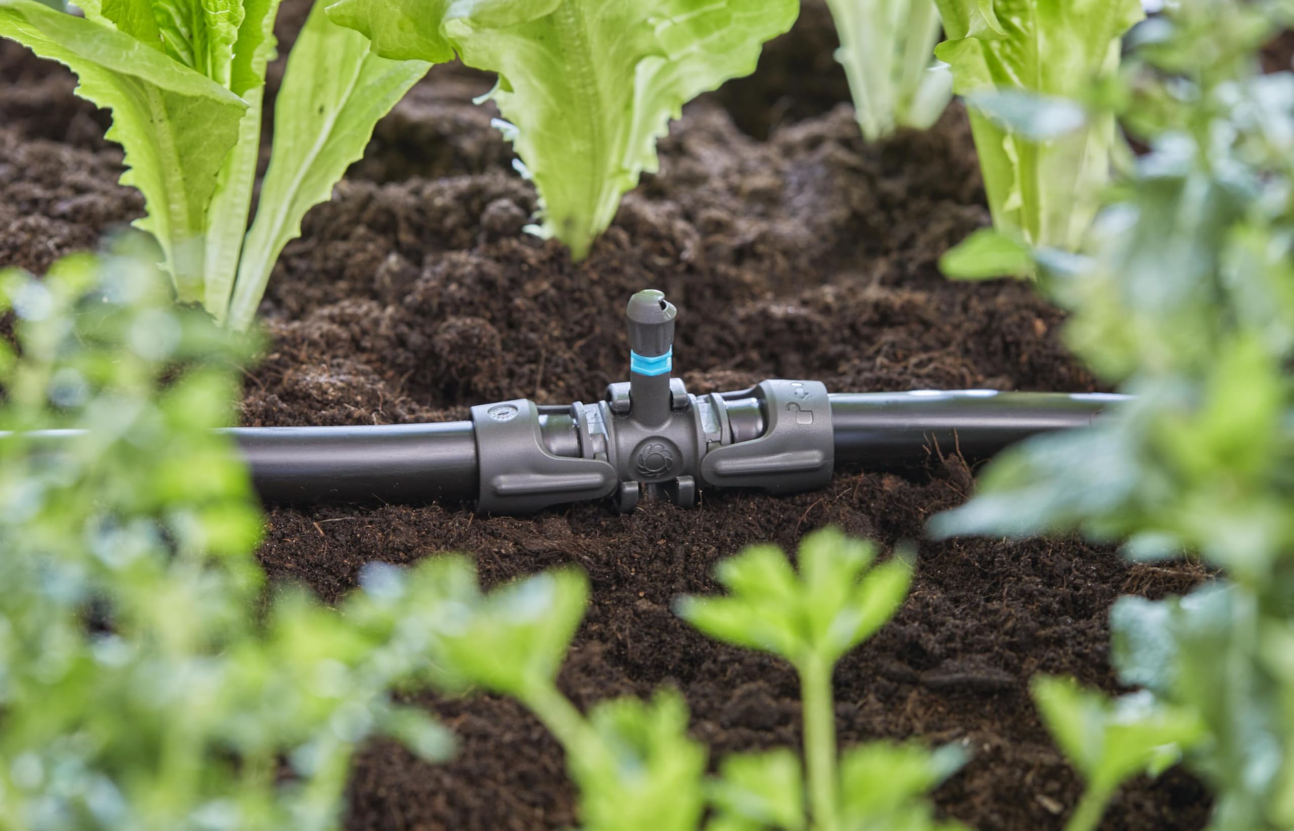 Gardena Micro-Drip-System Raccordo a T per microspruzzi: per collegare tubi da 13 mm e microspruzzo, irrigazione piante automatica, tecnica di collegamento Quick & Easy, riutilizzabile (13206-20)
