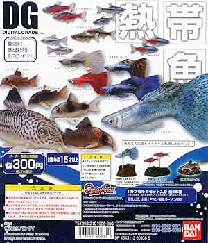 ★Gfg23GzデジタルグレードDG熱帯魚フルコンプ全15種 81tdSOBA7tL._UF350,350_QL50_.jpg