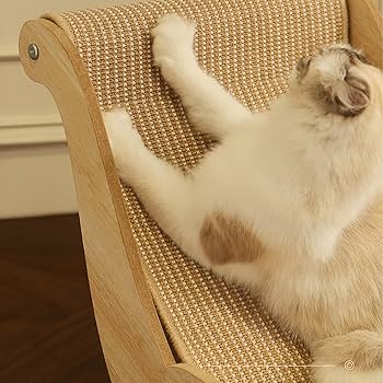 Amazon | 猫の爪とぎパッド、ペットのビーチチェア - エレガント