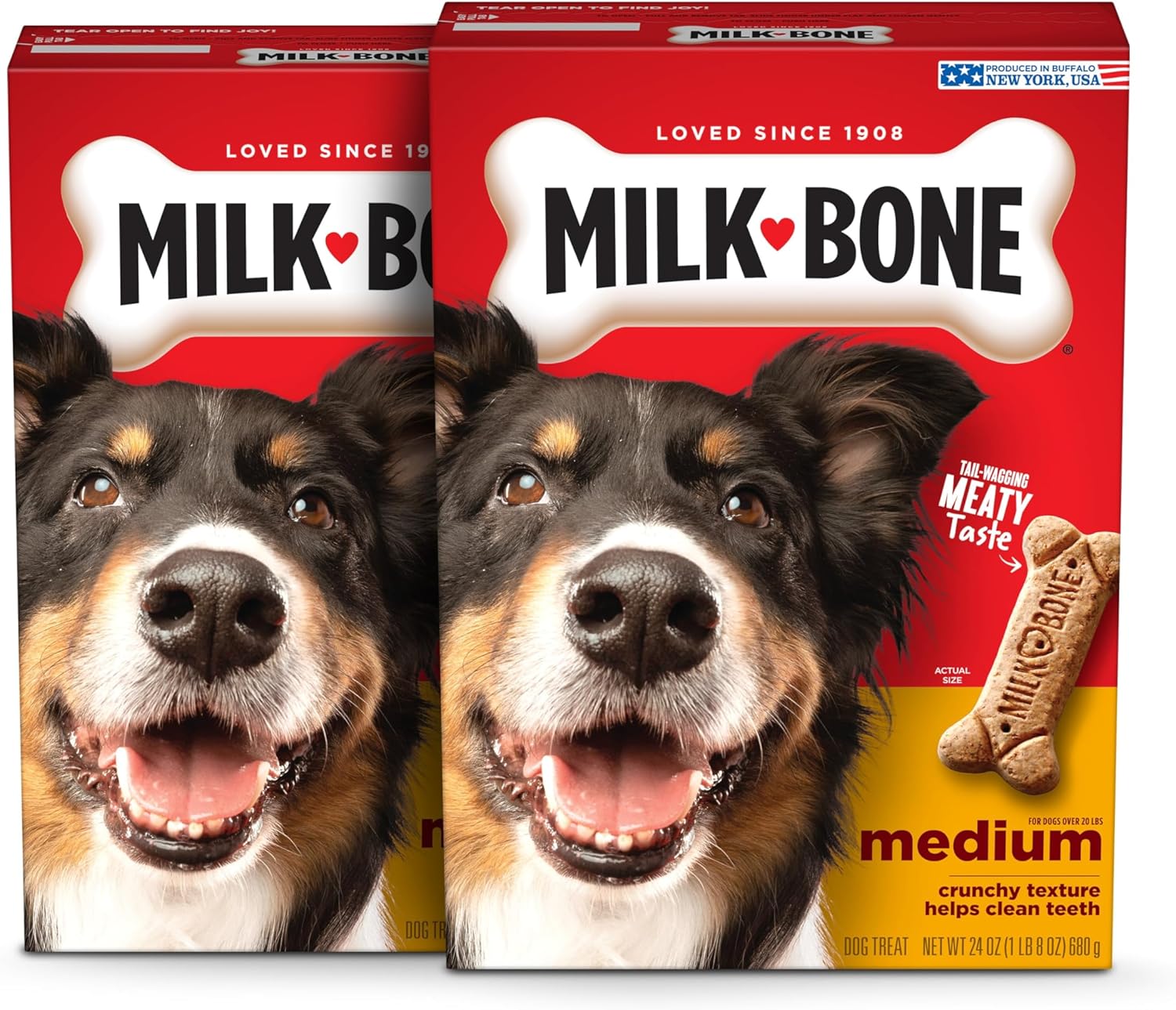 Milk-Bone Dog Treats for Medium Dogs, 24 Ounce | Pack of 6 | Crunchy | Helps Clean Teeth Medium 24 Ounce (Pack of 6
