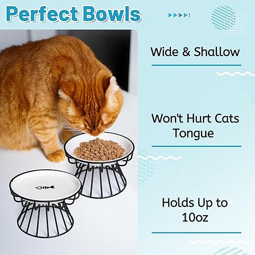 Miniatura 4 de Cuencos elevados para gatos, plato elevado de cerámica con soporte de metal, estación de alimentación de agua o alimentos para gatos de interior,