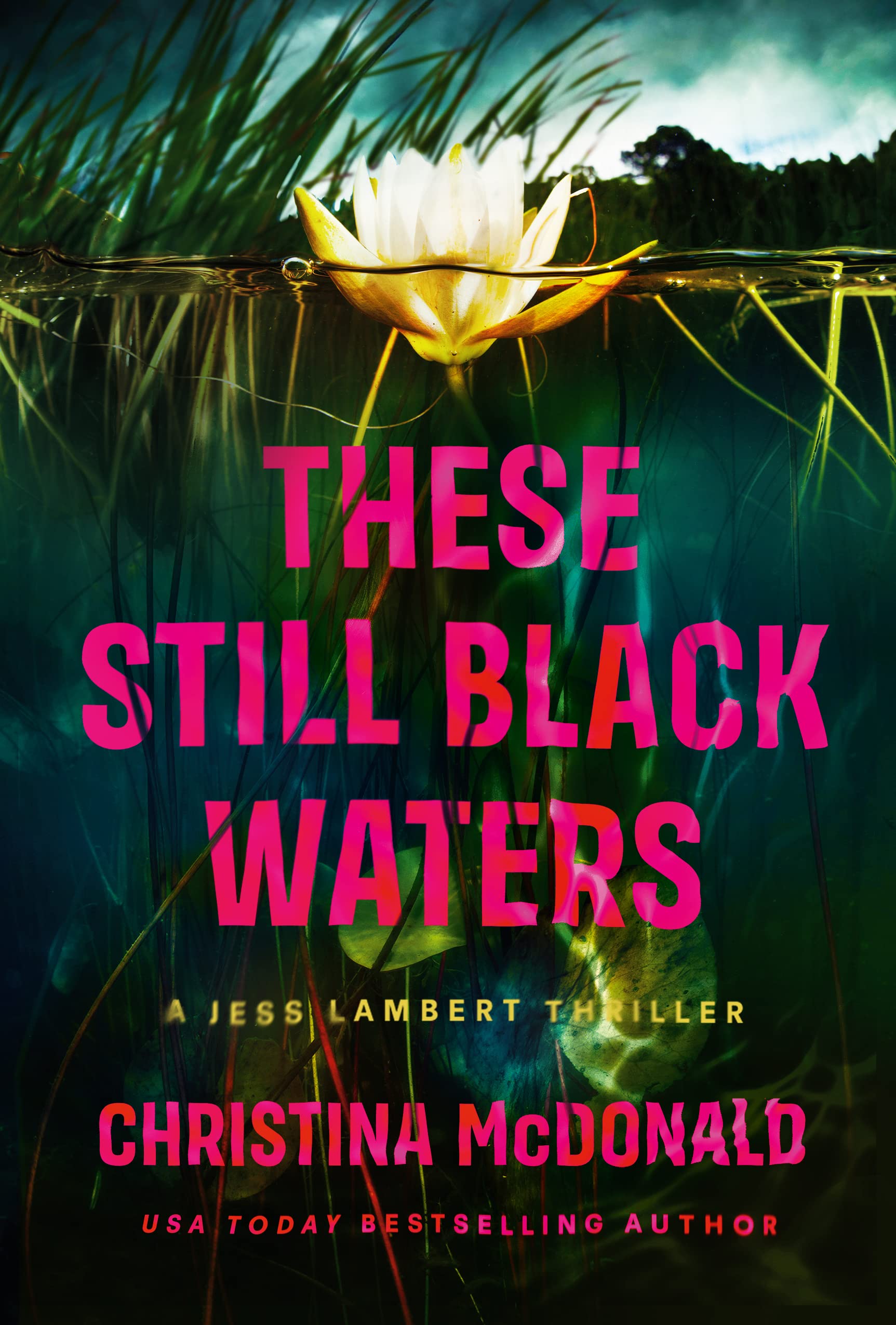 These Still Black Waters (Jess Lambert Book 1)