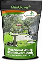 Outsidepride Perennial White MiniClover Seed - 1 lb. Dwarf, Small-Leaved, Drought & Wear-Tolerant Micro Clover Seeds for Lawn, Ideal Low-Maintenance & Easy to Grow Ground Cover Seeds for Home Yard