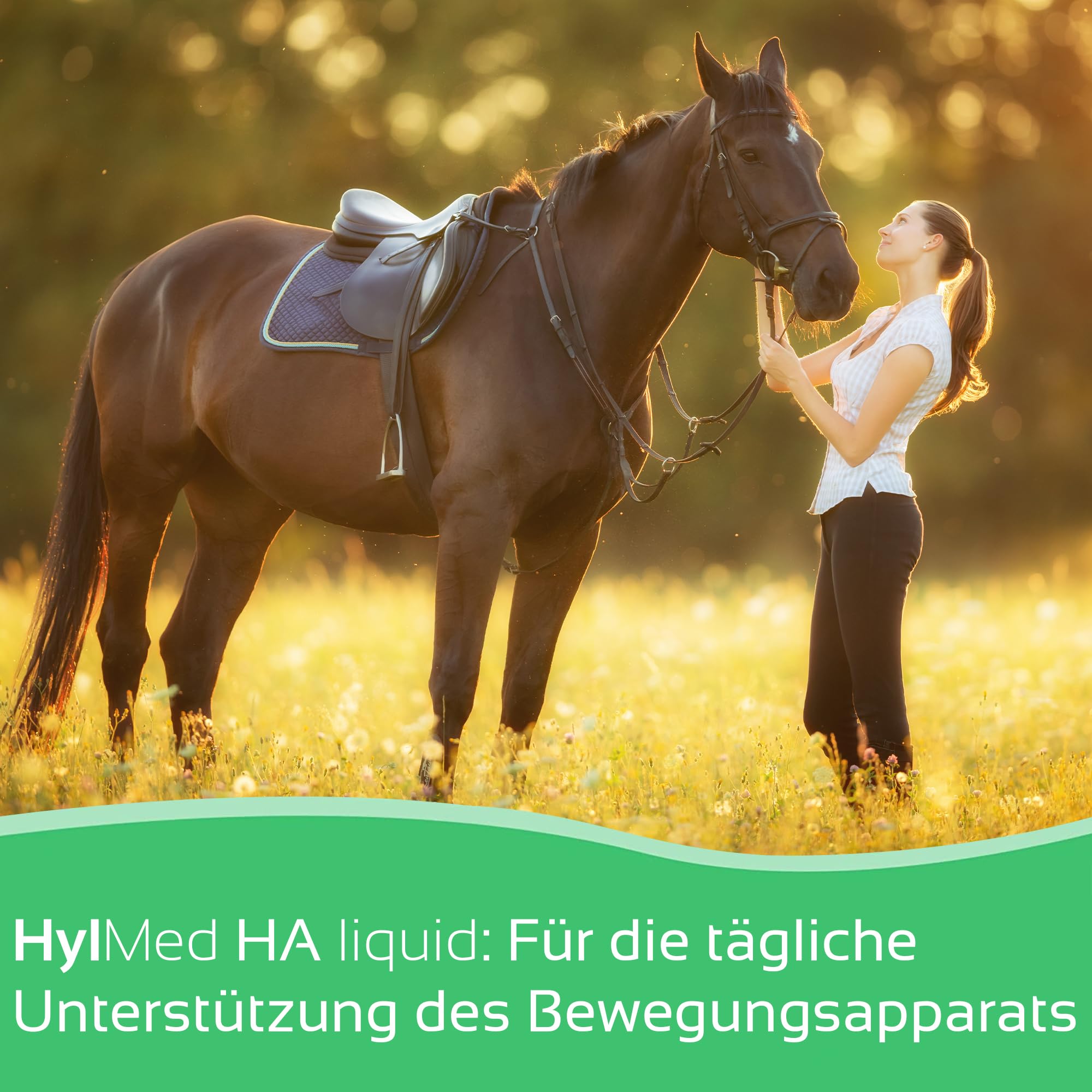 HA Liquid Horse - 2 x 500 ml de ácido hialurónico, colágeno y otros nutrientes para apoyar el sistema musculoesquelético del caballo