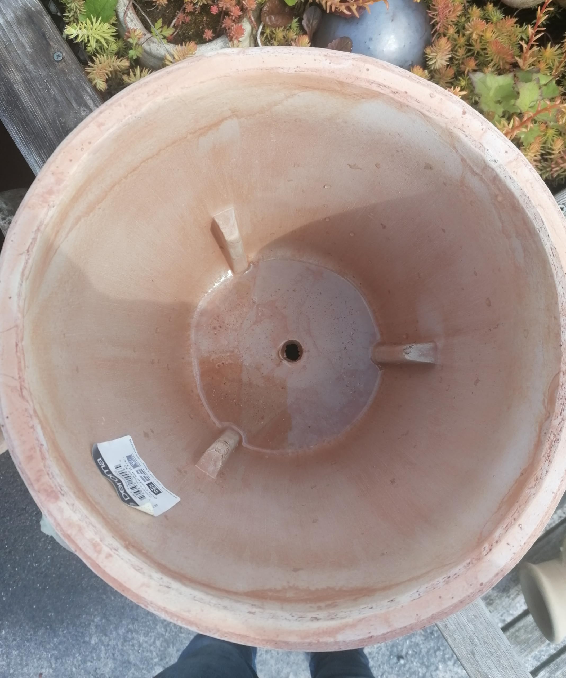 NEU !! Italienischer Blumentopf mit Olivenzweig echt Terrakotta Durchmesser ca. 30 cm, Blumenkübel für Garten und Wohnung Terracotta, kein Kunststoff, Pflanzgefäß Garten Sommer Terrasse Balkon Deko