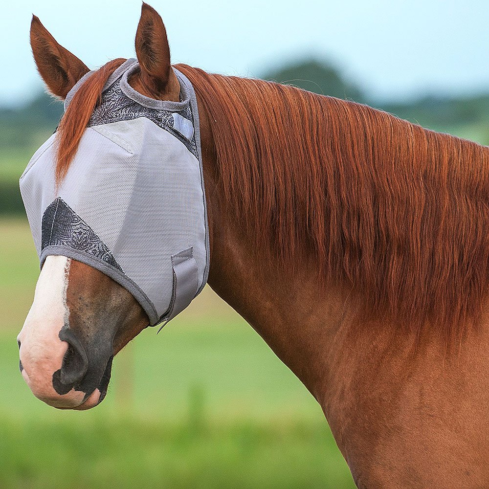 fly-mask-patterns-lena-patterns