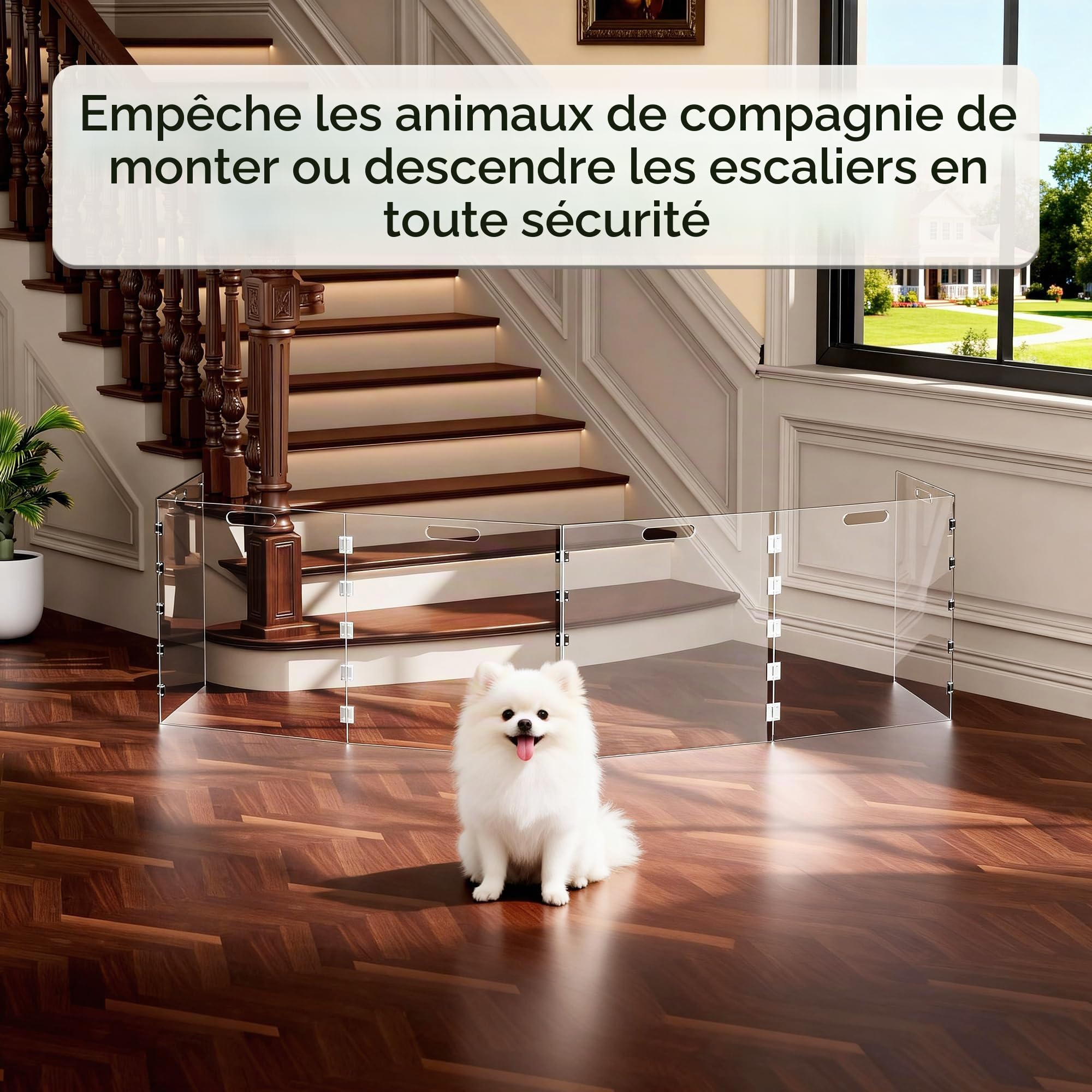 Barrière pour chien en acrylique transparent, barrière pour animaux de compagnie autostable pour portes d’intérieur, parc de jeu pliable en acrylique pour chien sans perçage (Transparent, 6 panneaux)