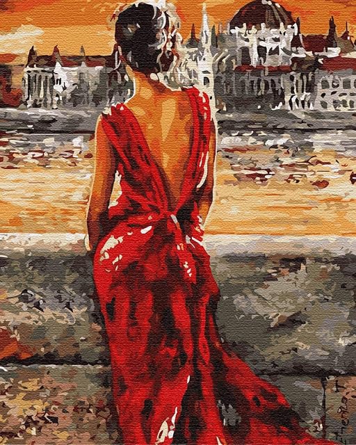 Artnapi Pintura por números Adultos con marco