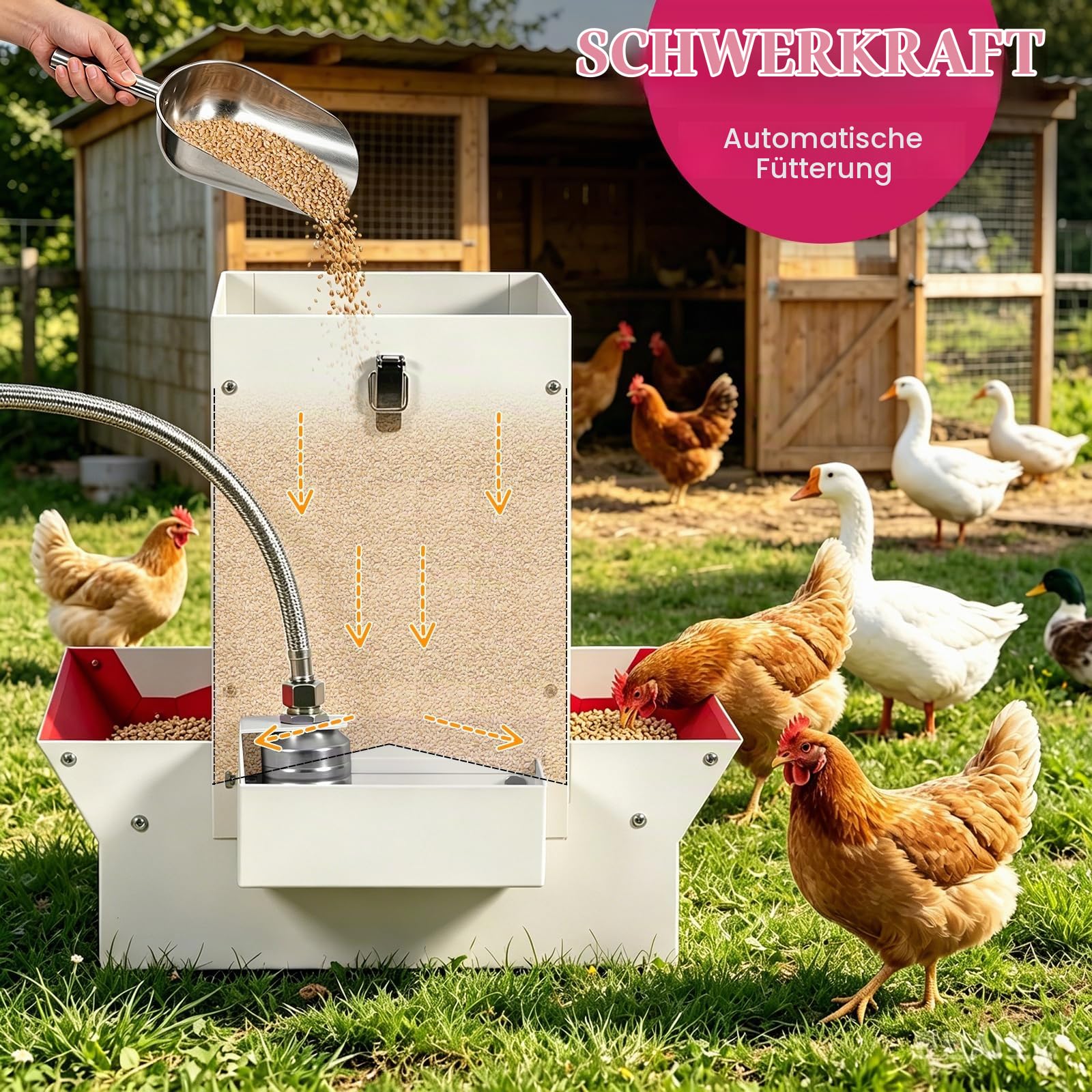 2in1 Geflügel Futter- & Wasserautomat, Metall Schwerkraft-Futterspender mit Tränke, Doppelseitiger Futtertrough für Hühner, Enten, Gänse, Tragbar mit Griff & Schloss