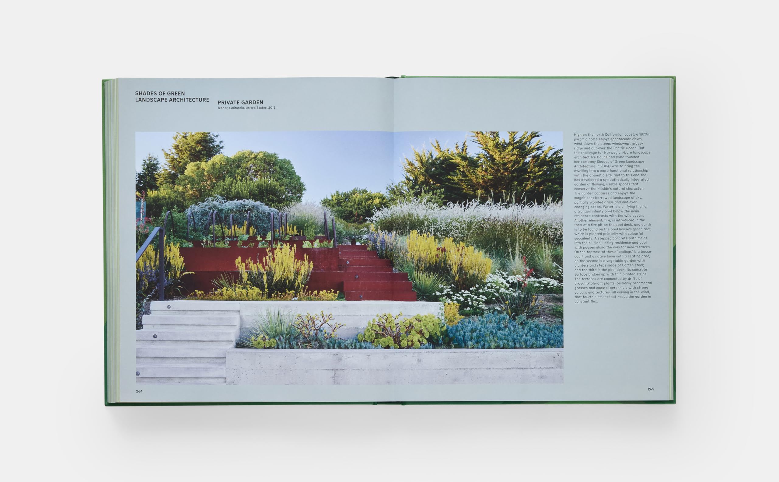 The Contemporary Garden (DESIGN)