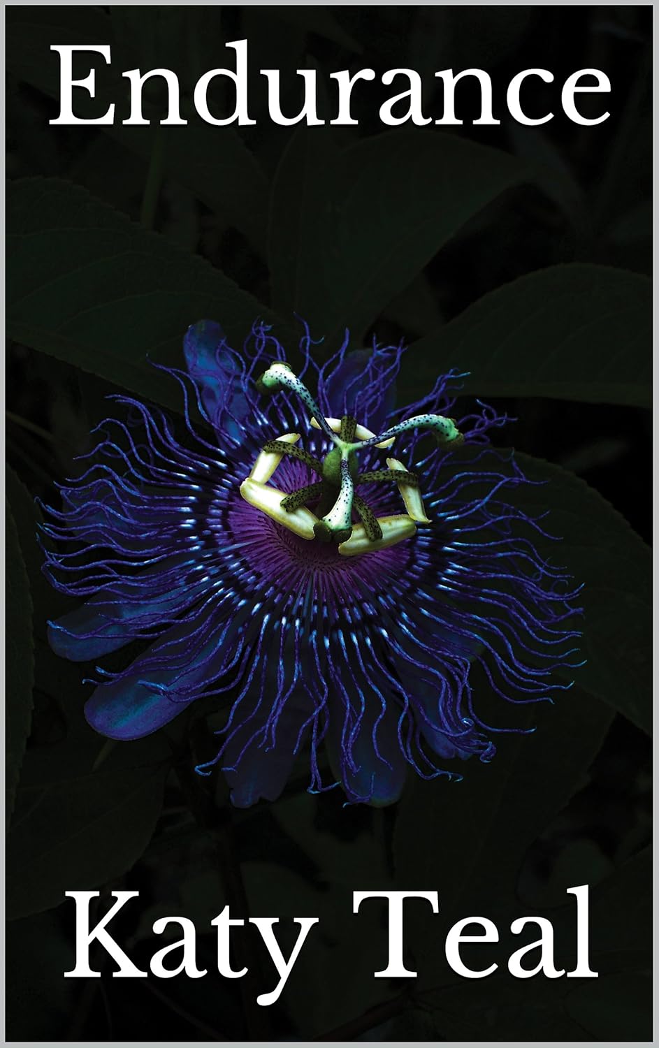 Endurance eBook Teal, Katy Kindle Store