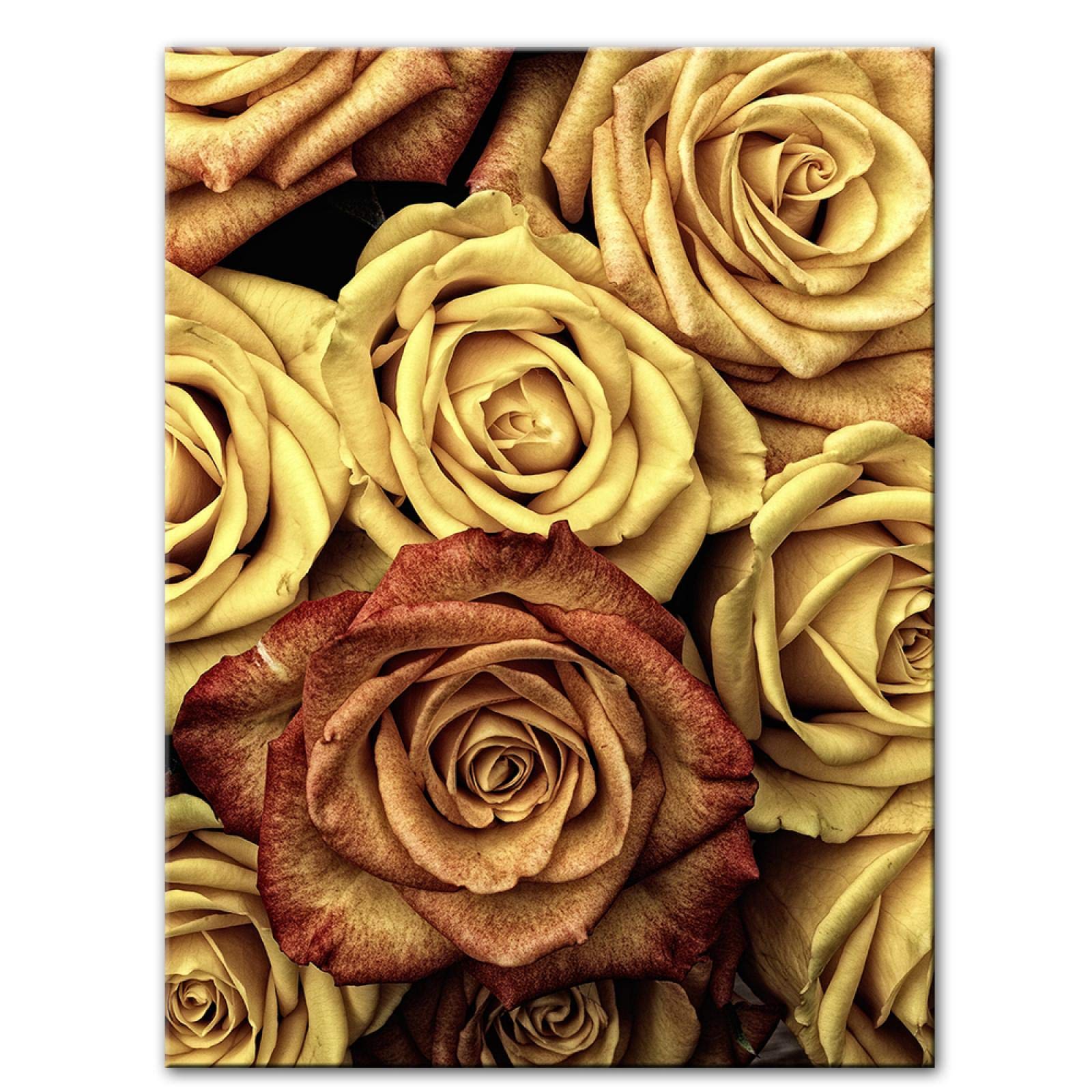 DZRWUBHS Set 3 Tele Con Rose Gialle - Quadri Moderni 50x50 Cm Per Soggiorno E Camera Da Letto