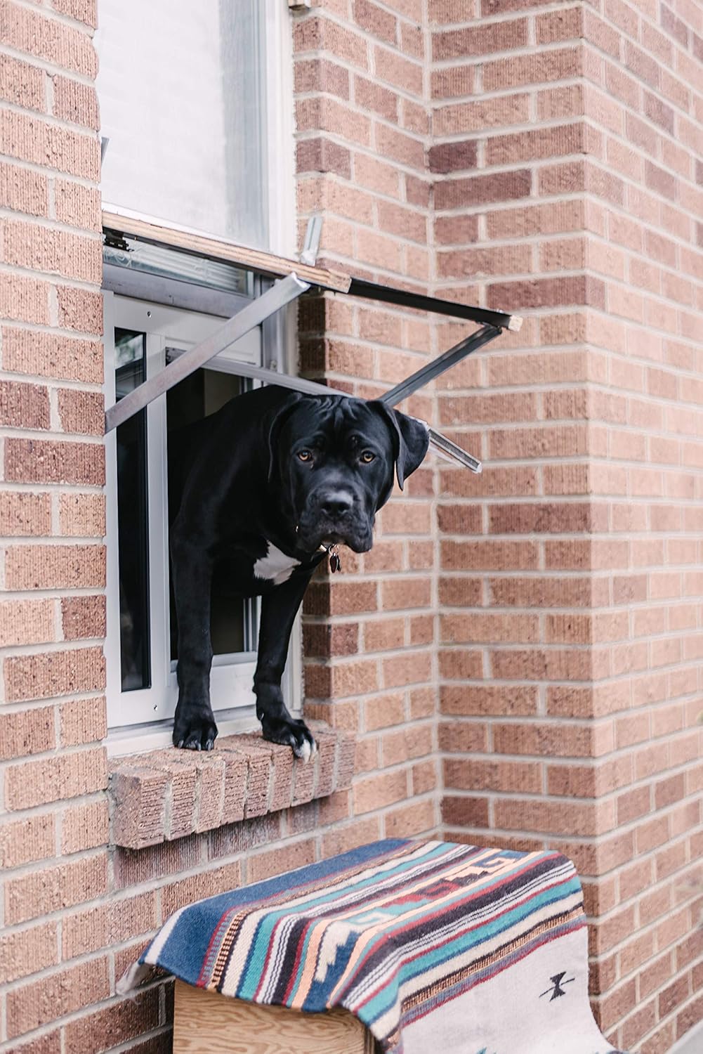 Endura Flap Pet Door | Energy-Efficient Window Insert with Dual-Layer Insulating Flap | Easy Installation in Vertical Sliding Windows | White, Small Flap, 34"-37" Width