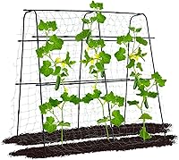 Vista 10 de Enrejado de pepino de jardín para plantas trepadoras al aire libre, marco A de 50 x 48 pulgadas, enrejado de pepino para cama elevada de jardín