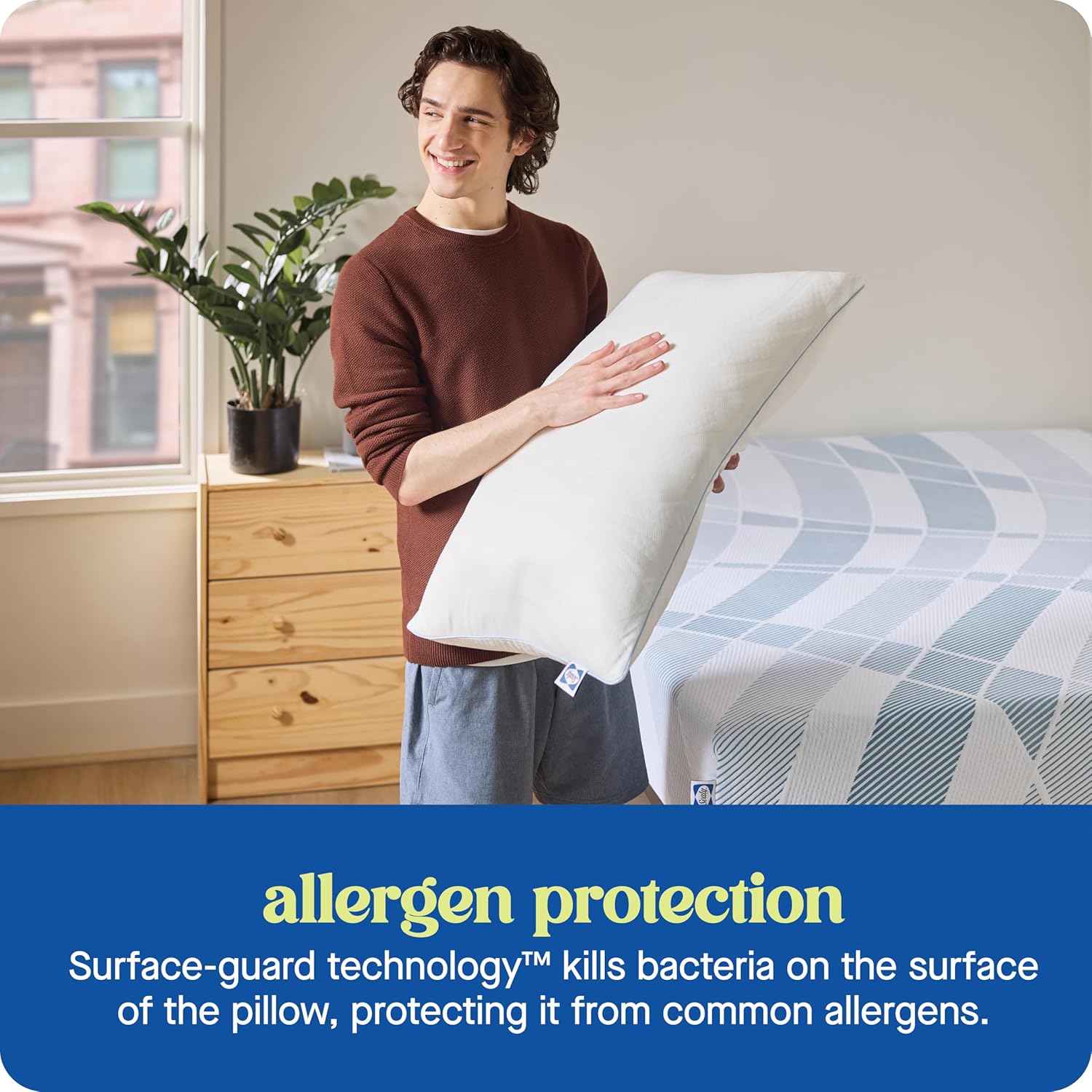 Sealy Dreamlife Queen Size Shredded Foam Pillow with Surface Guard Technology, Removable Machine-Washable Cover, 1 Year Limited Warranty, White