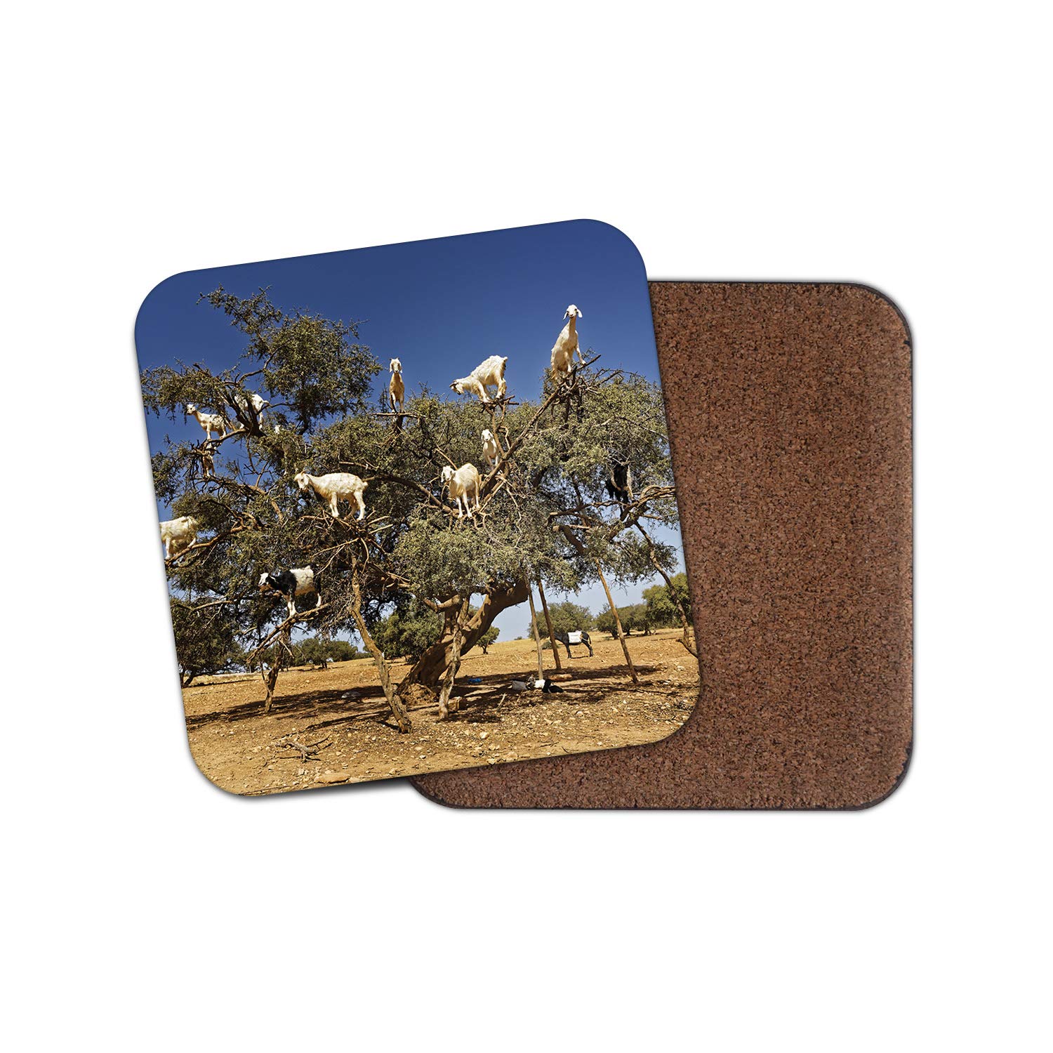 1 x Funny Tree Goats Coaster - Goat Morocco Animal Kids Mum Auntie #8667