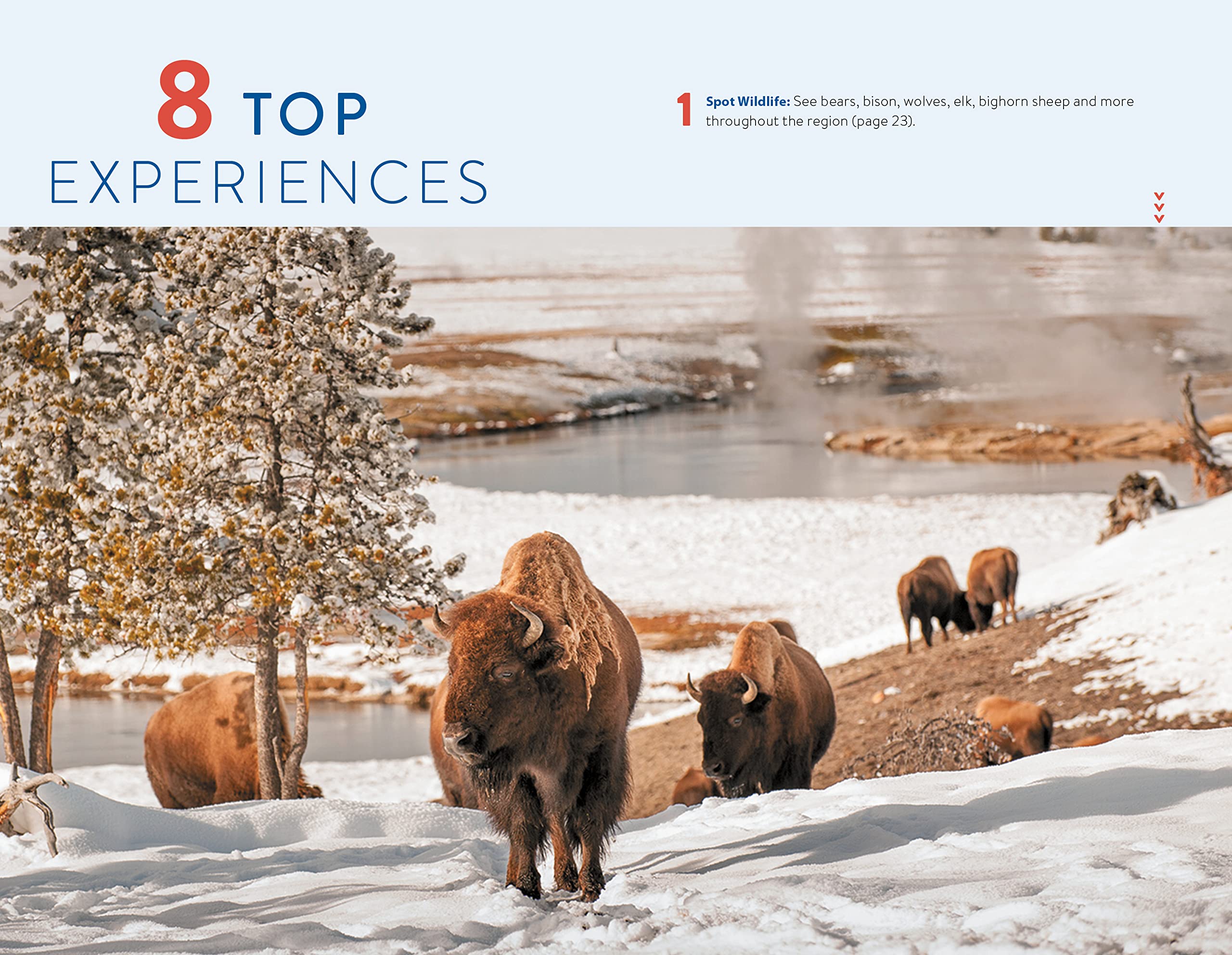Moon Yellowstone to Glacier National Park Road Trip (Second Edition): Connect Montana & Wyoming’s 3 National Parks, with the Best Stops along the Way