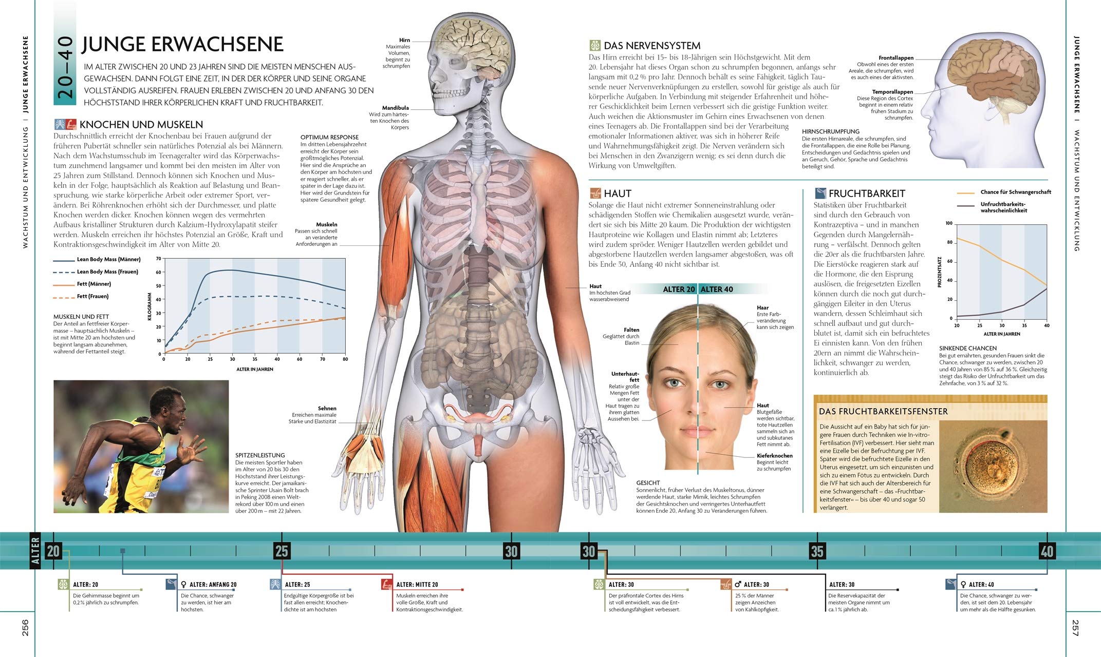 Der menschliche Körper: Bildatlas der Anatomie. Mit interaktivem Bildmaterial zum Download