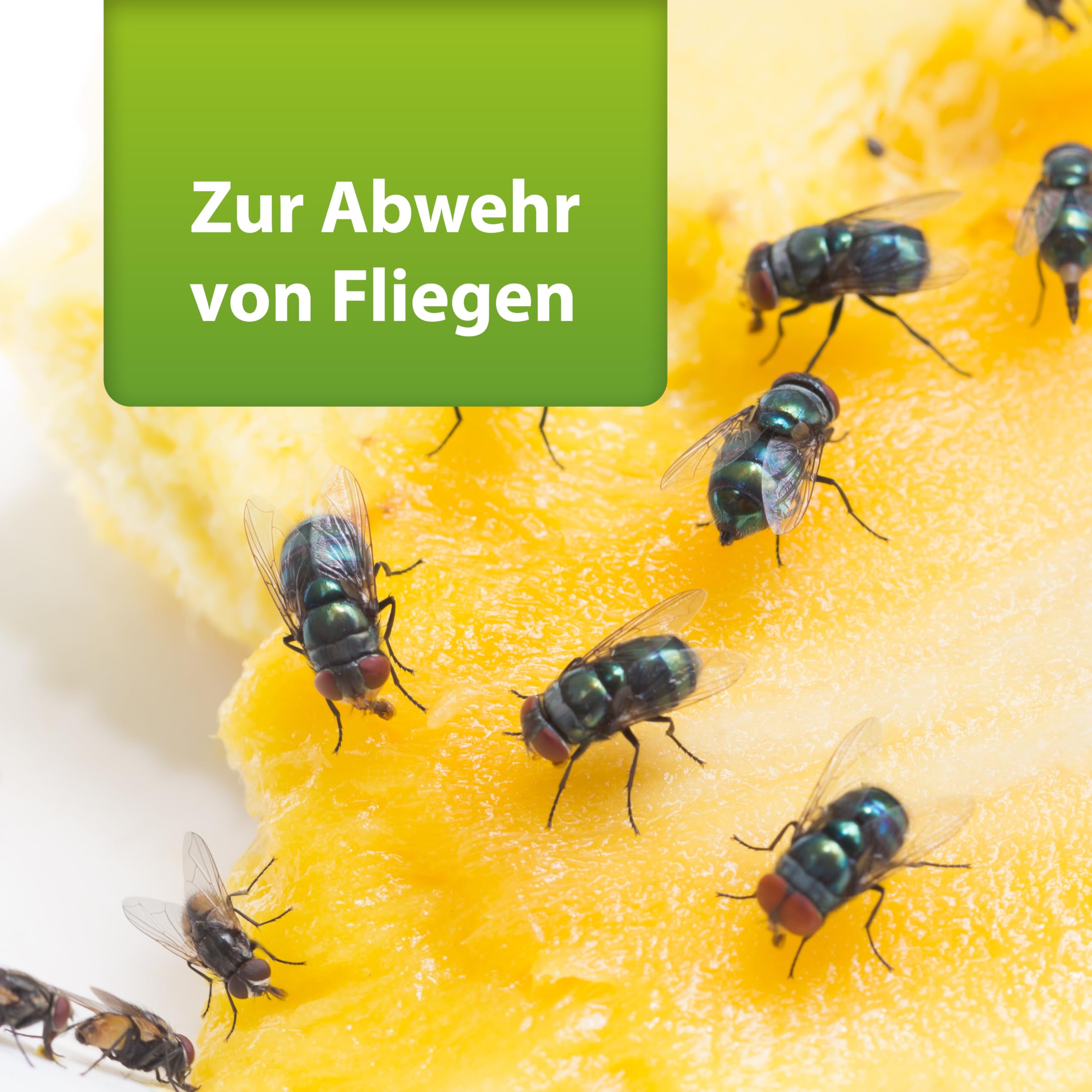 ARDAP Repell Fliegenspray 2 x 400ml - Bestes Mittel gegen Fliegen - Fliegenspray Wohnung- Insektenspray & Ungezieferspray - Schädlingsfrei - Wirkt schnell & effektiv (PT19)