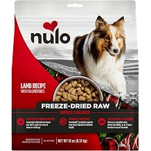 Nulo Freeze-Dried Raw Lamb Recipe with Raspberries Complete and Balanced Dry Dog Food Kibble, 18 Ounce Bag
