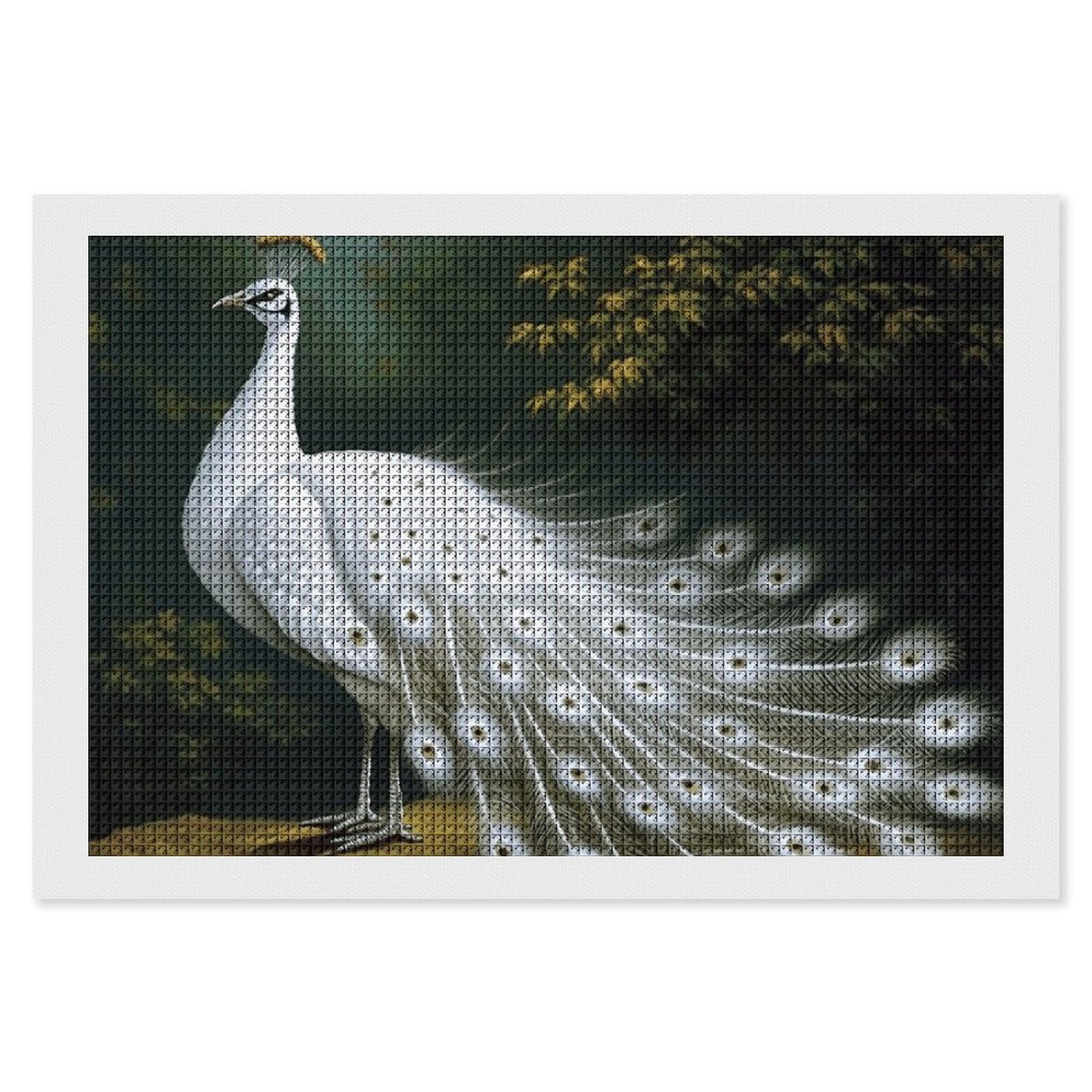 NONHAI Diamond Painting Kits for Adults - DIY Diamond Art Kits for Beginners - Full 5D Paint Drill Diamond Dots Paintings- White Peacock Diamonds Pictures Gem Art and Craft Wall Decor 8"x12"
