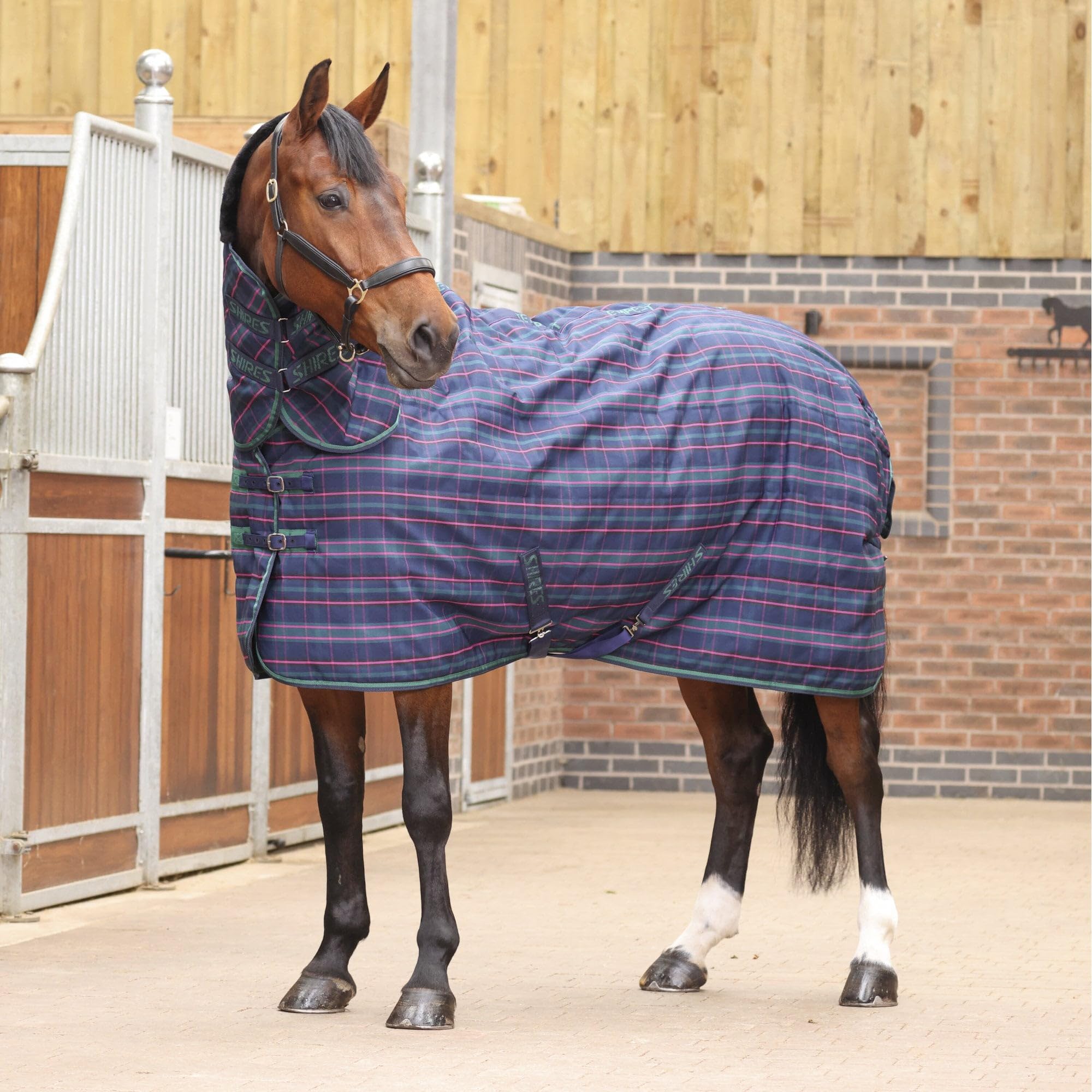 Shires Tempest Plus 100 Stable Combo - Navy Tartan 5ft0