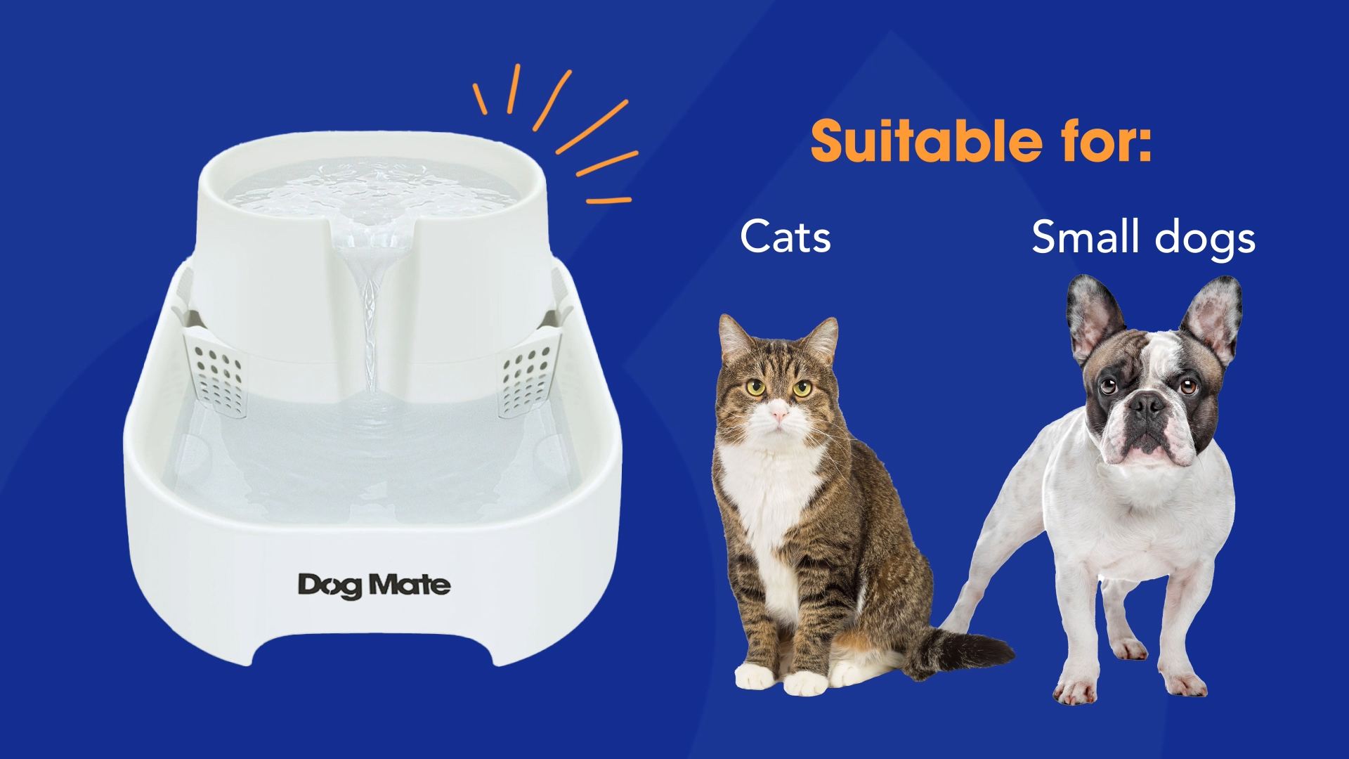 Cat Mate Fontanella Per Animali Domestici - Bianca, Per Gatti E Cani Piccoli, Livelli Altezza Bere - Foto 2