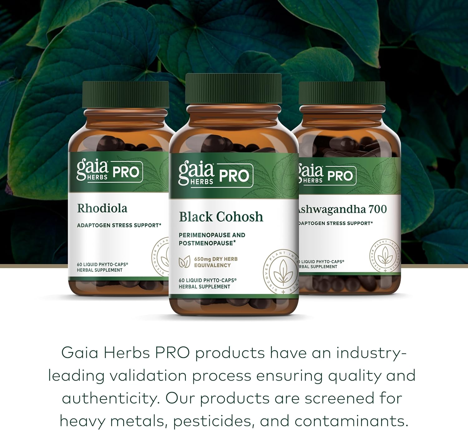 GAIA HERBS PRO Black Cohosh PRO - Healthy Perimenopause & Post Menopause Support Supplement* - Women's Health Supplement with Black Cohosh Root Extract - Vegan - 60 Liquid Phyto-Caps (60 Servings)