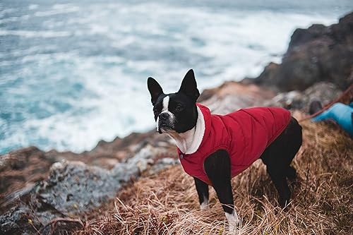 Miniatura 6 de Sudadera con capucha de forro polar para perro, resistente al viento, abrigo impermeable con forro de algodón, chaqueta cálida para perro, chaleco