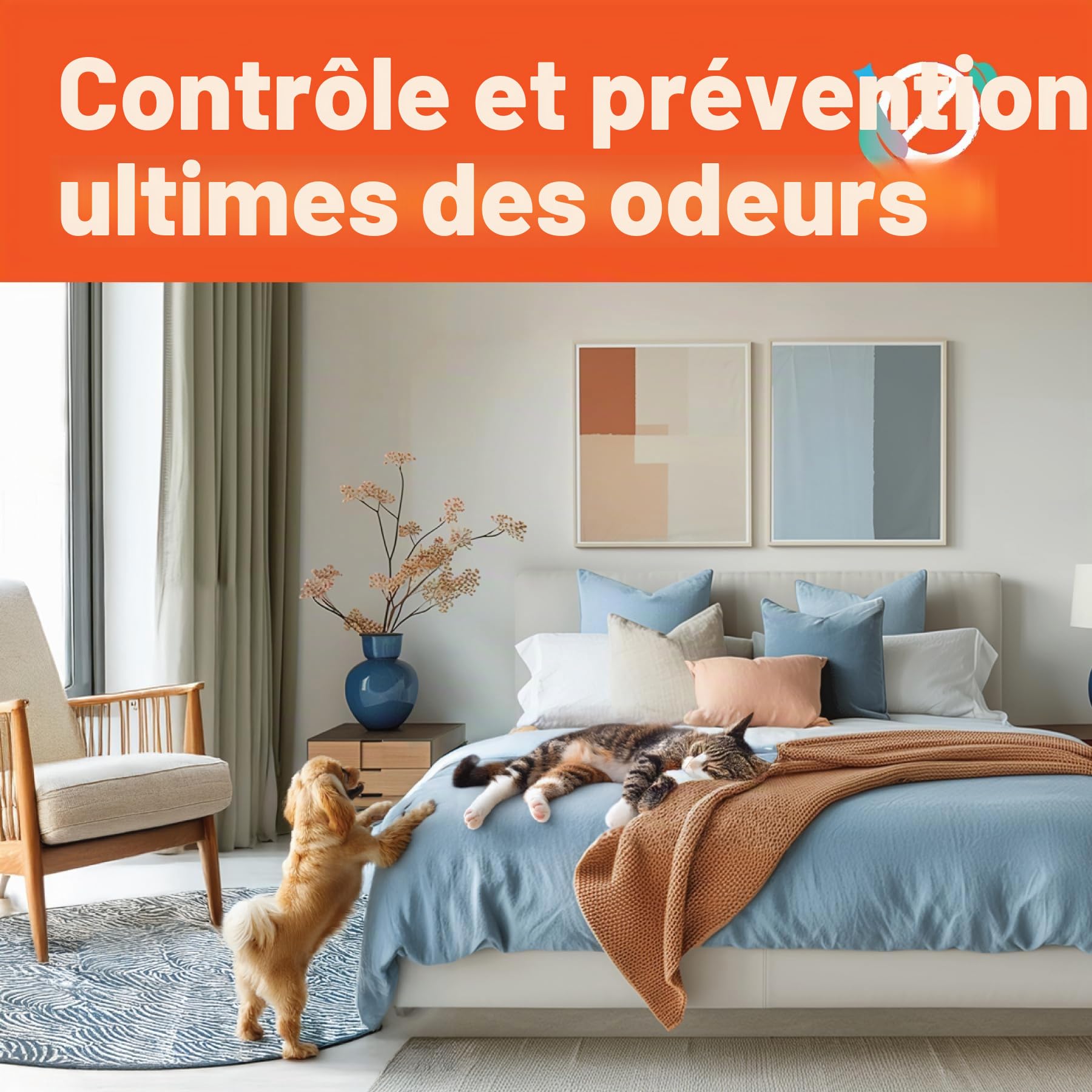 Dirtbusters Nettoyant Désodorisant Professionnel Concentré 3 en 1 pour Tapis/Tissus - Neutraliseur d’Odeur, Parfum orange, Shampooing Idéal des Moquette Machines Lavant par Extraction, 5L