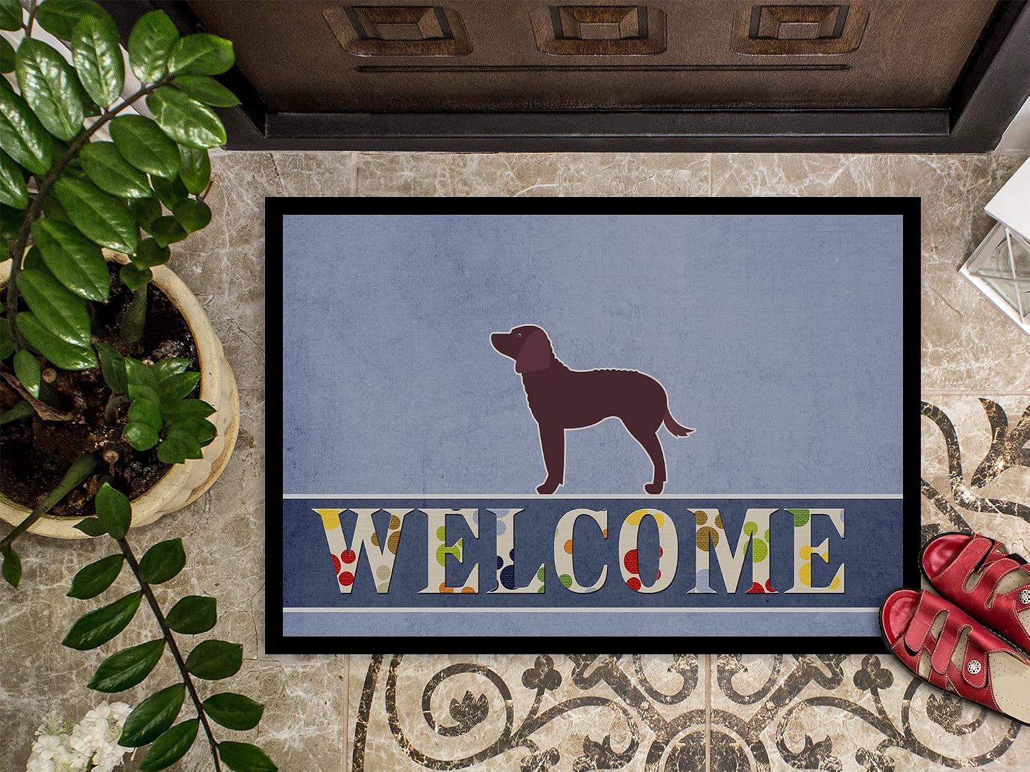 Caroline's Treasures BB5505MAT American Water Spaniel Welcome Doormat 18x27 Front Door Mat Indoor Outdoor Rugs for Entryway, Non Slip Washable Low Pile, 18H X 27W