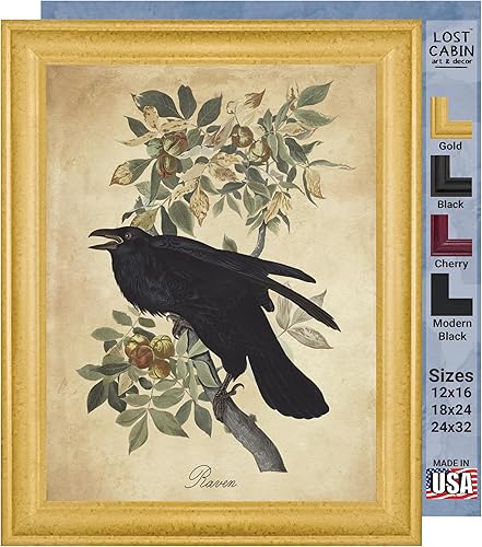 Vista 274 de Towee Bunting by James Audubon - Marco biselado negro de 12 x 16 pulgadas, decoración artística enmarcada para pared, reproducción de pinturas