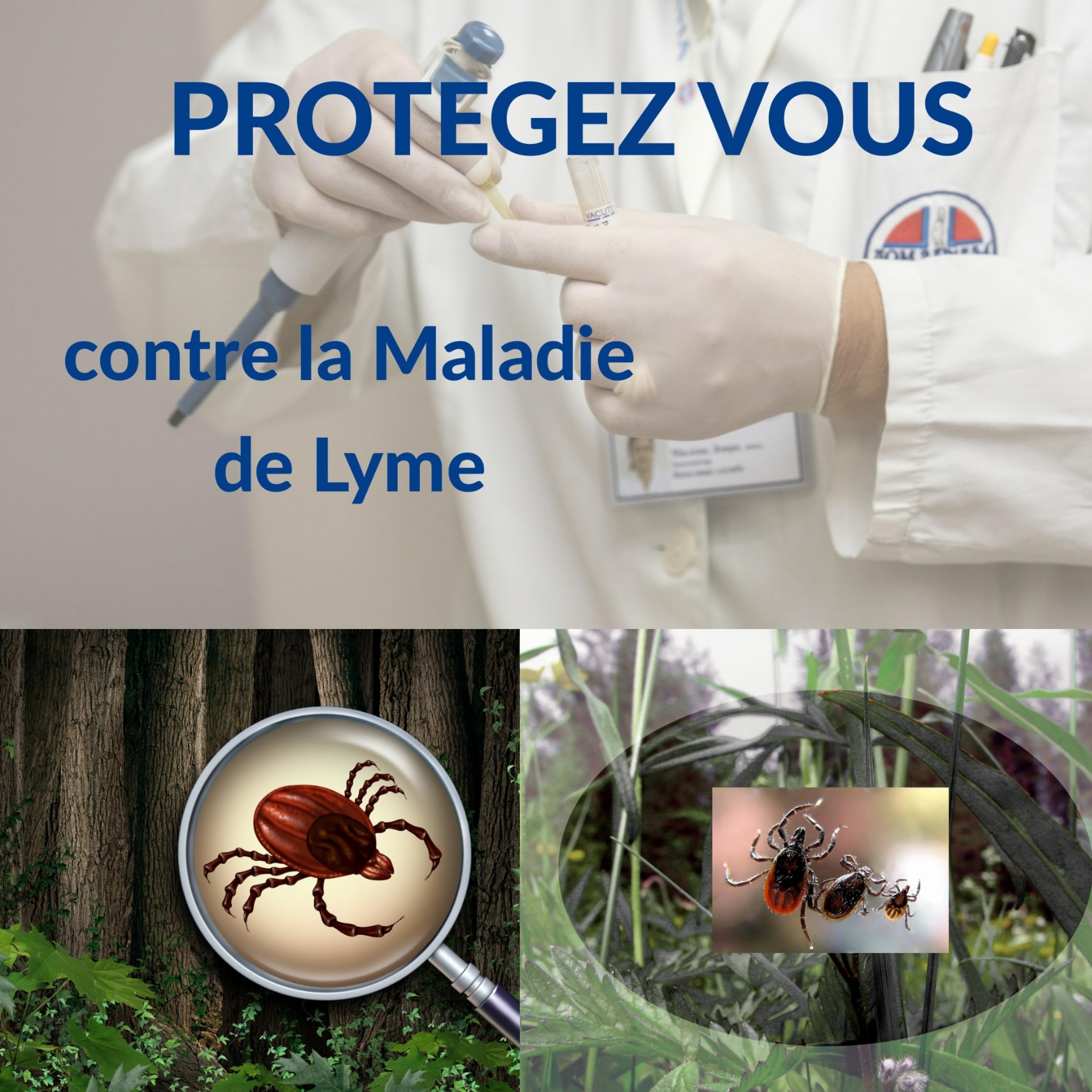 Tire Tique Pince a tique et crochets anti tiques pour chat chien humain. Crochet en acier inoxydable Retire/enlève/supprime/attrape parasites Kit de 2 lots de 3 pcs crochets pinces anti tiques vert