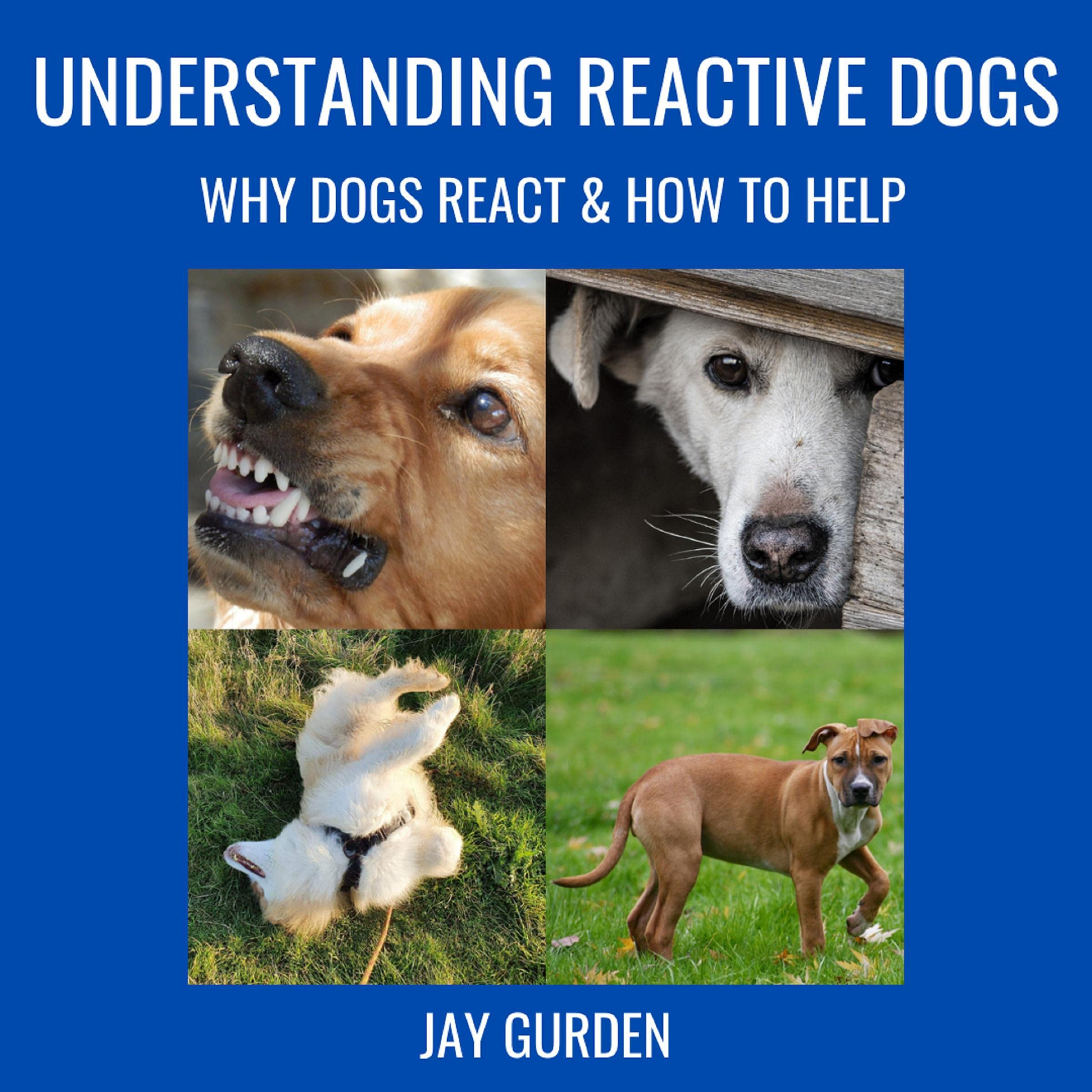 Cover art for Understanding Reactive Dogs