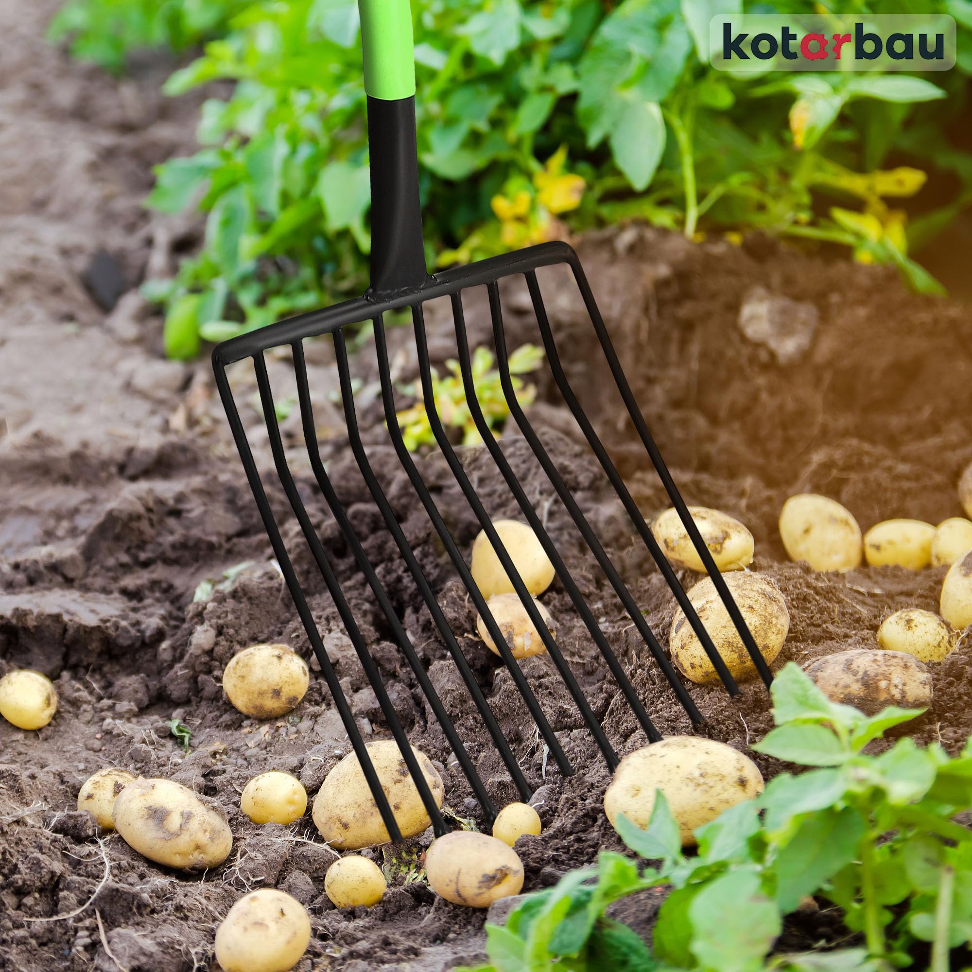 View 2