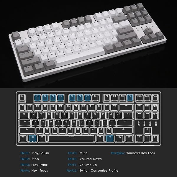 Durgod Taurus K320 TKL Mechanical Keyboard | 87 Keys Tenkeyless | USB C Wired | Doubleshot PBT Keycaps | Programmable Keys | NKRO Rollover | Windows & Mac | Cherry MX Brown, White - 3