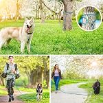 XiaZ 15FT 30FT 50FT Training Leash for Dogs, Nylon Rope Dog Leashes with 2 Swivel Hooks and Comfortable Padded Handle, Puppy Leash Lead for Small Medium Large Dogs Training, Playing, Camping,Backyard