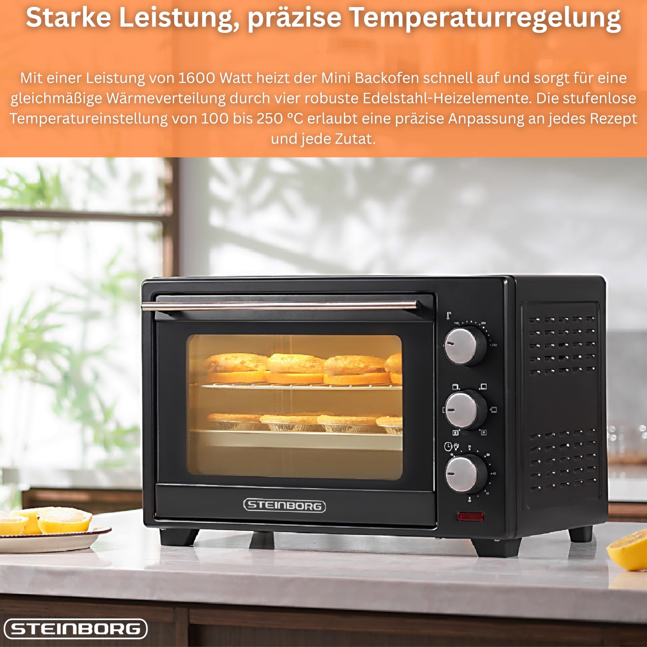 STEInBORG Mini Backofen 25 Liter | Pizza-Ofen | 3in1 Backofen | Minibackofen | Miniofen | Krümelblech | Ober-/Unterhitze | Konvektion | 60 minTimer | 1.600 Watt
