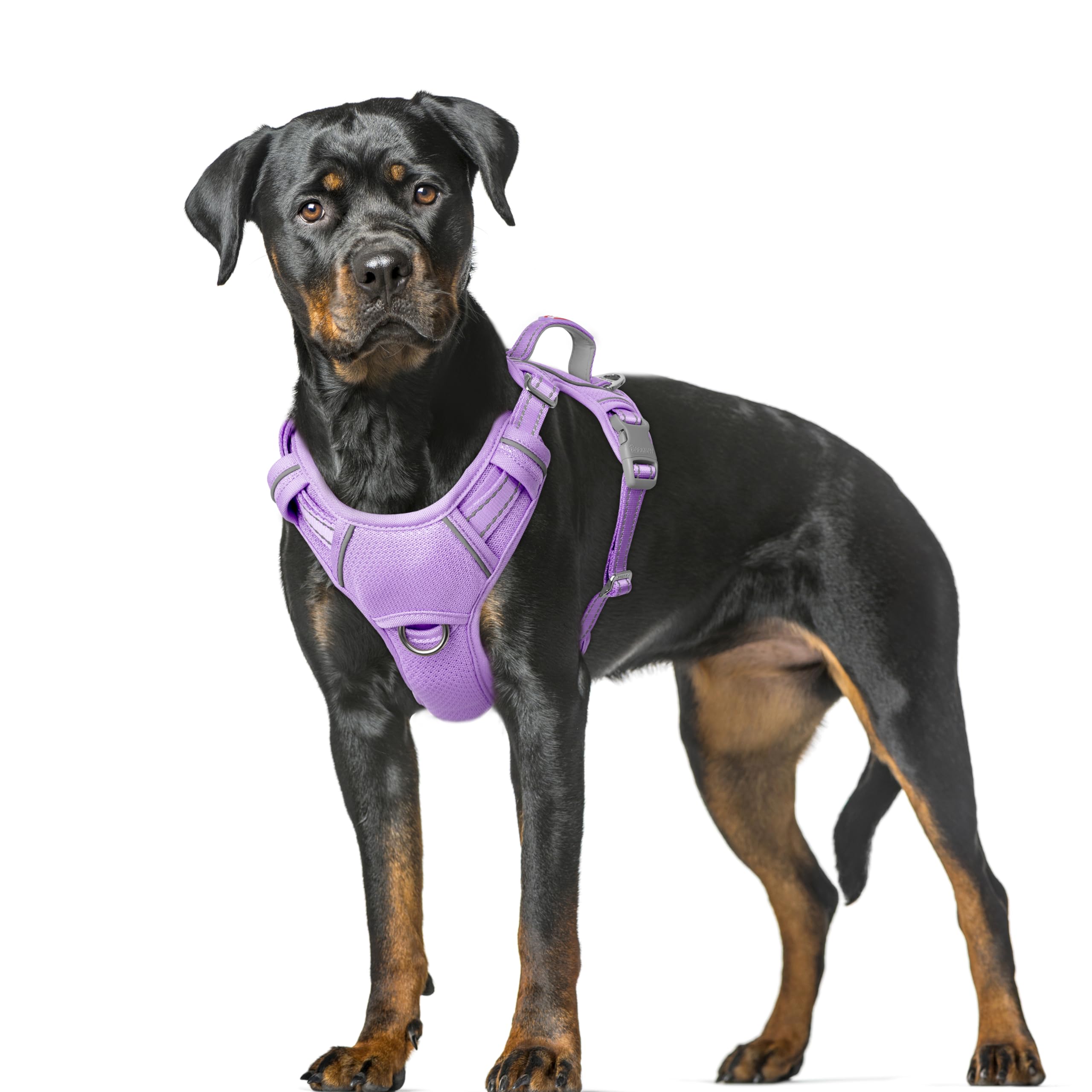 BARKBAY No Pull Dog Harness Large Reflective Dog Harness with Front Clip and Easy Control Handle for Walking Training Running with ID tag Pocket(Violet Purple,XL)