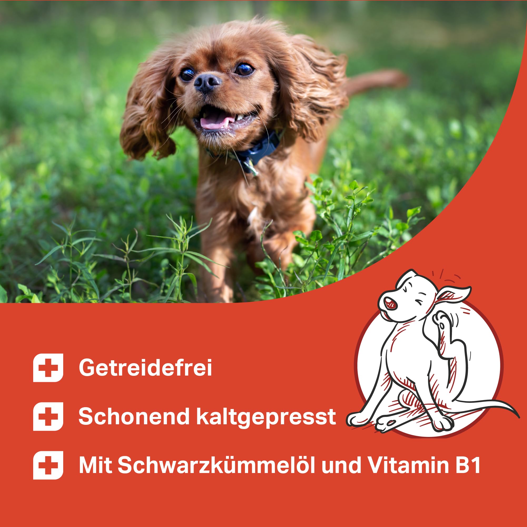 MEDIDOG Zeggi Weggi Premium Drops für Hunde – 400 g – mit Schwarzkümmelöl, Zistrose, Kokosöl, Lammprotein – Hypoallergen – Ideal für die Saison