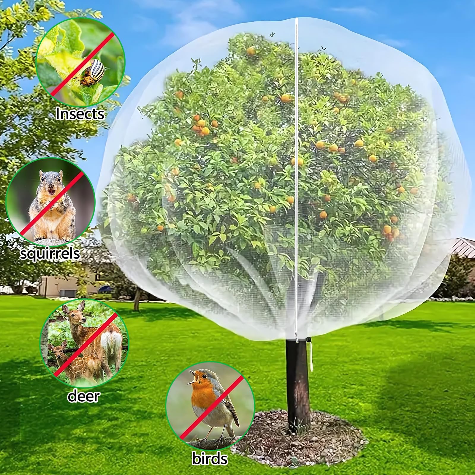 Filets Pour Arbres Fruitiers 2.4x2.4 m Lot de 2 Avec Fermeture Éclair Cordon de Serrage Réutilisable Jardin Vergers
