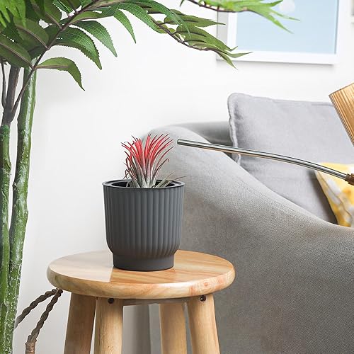 Miniatura 9 de T4U Macetas de 8 pulgadas, paquete de 2 macetas de riego automático con orificio de drenaje, maceta poco profunda para interiores, decoración del